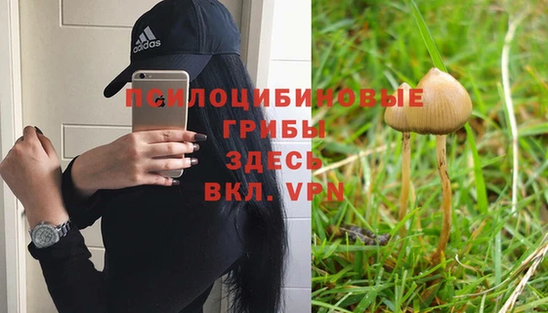 тгк Алексеевка