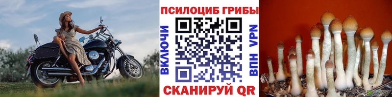 Псилоцибиновые грибы ЛСД  Кемерово 